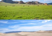 승우여행사, 몽골 테를지 초원길 4박 5일과 고비사막 6박 7일 트레킹 여행 선봬
